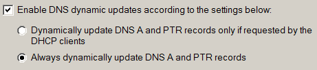 8 - DNS Update options.png
